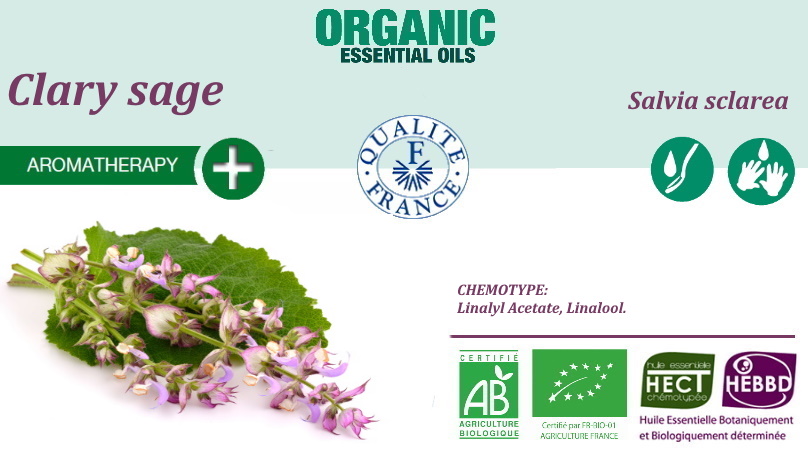 Эфирное масло Шалфея мускатного Salvia sclarea BIO 100% органическое ...